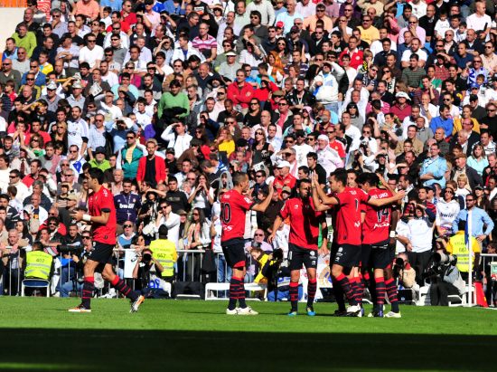 平板烘干机 油脂机械预处理设备